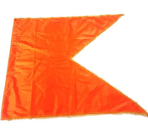 Hindu Bhagwa Flag