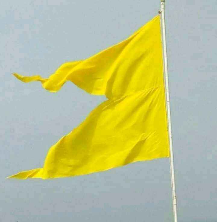 Ahilyabai Holkar Plain Flag