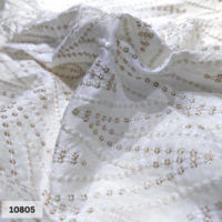 White Dola silk Embroidered fabric in Daman Pattern