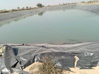 Hdpe Climex Brand Agriculture Pond Liner