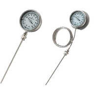 Capillary Temperature Gauge - Color: Silver