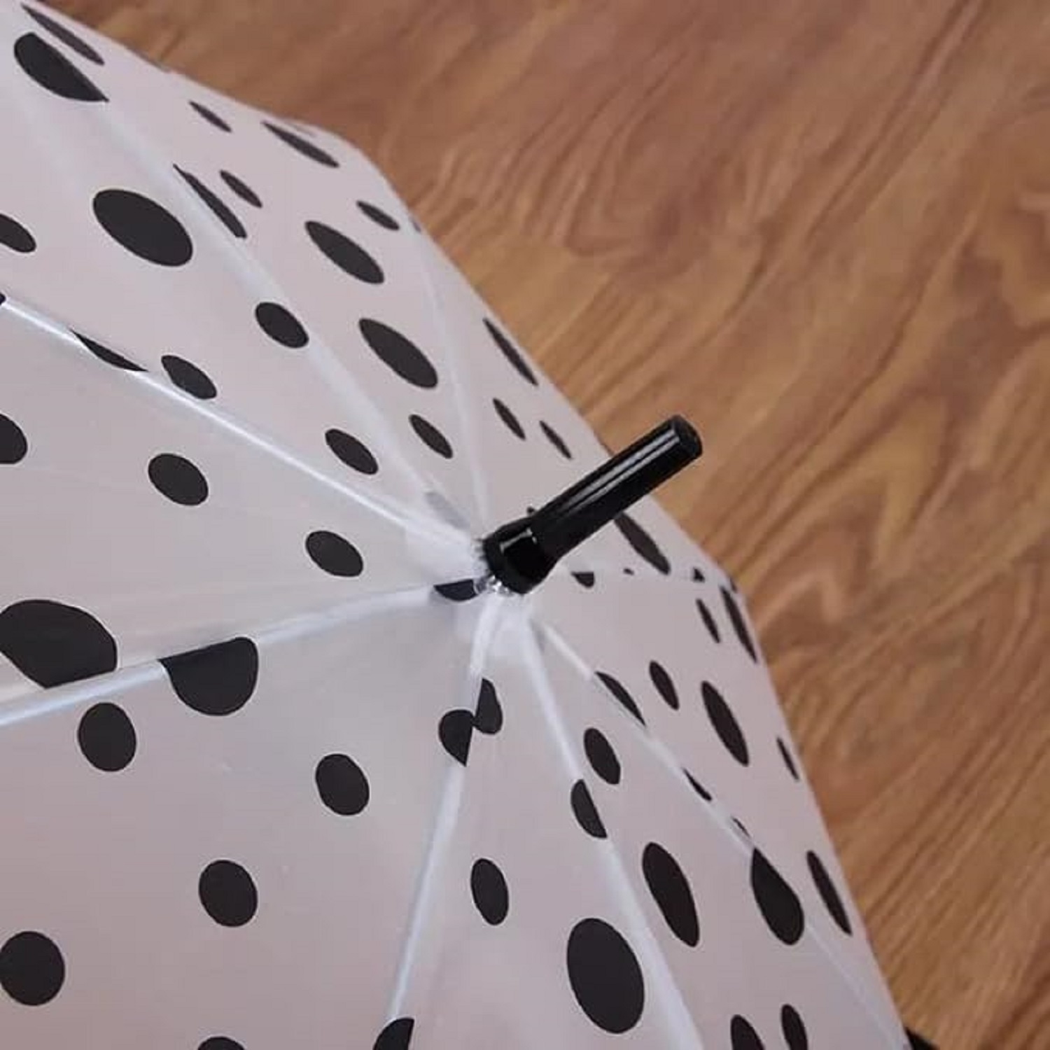 POLKA DOT UMBRELLA RAIN