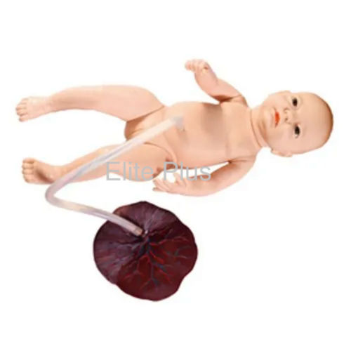 Zx-1708 Newborn Baby With Placenta