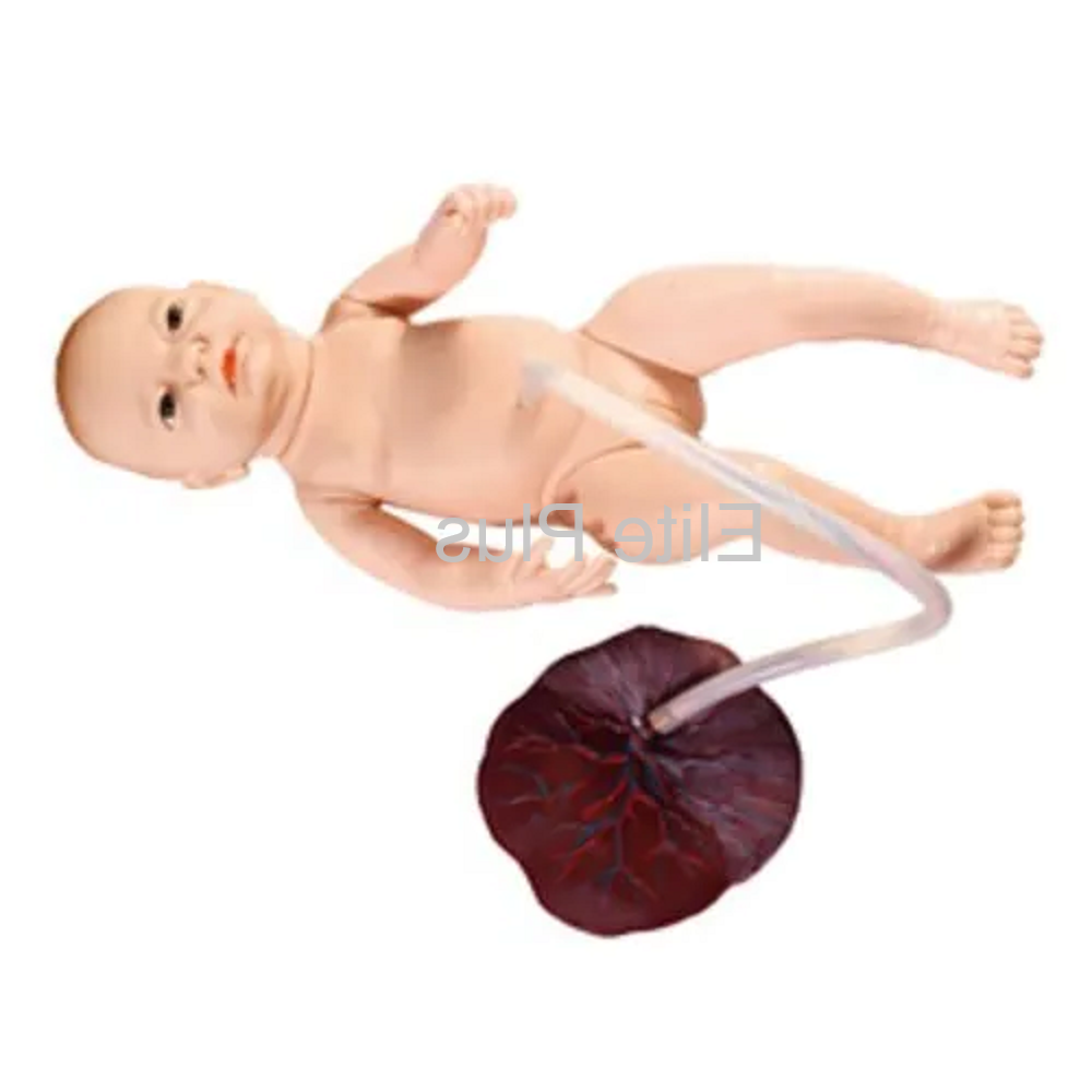 ZX-1708 Newborn Baby with Placenta