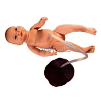 ZX-1708 Newborn Baby with Placenta