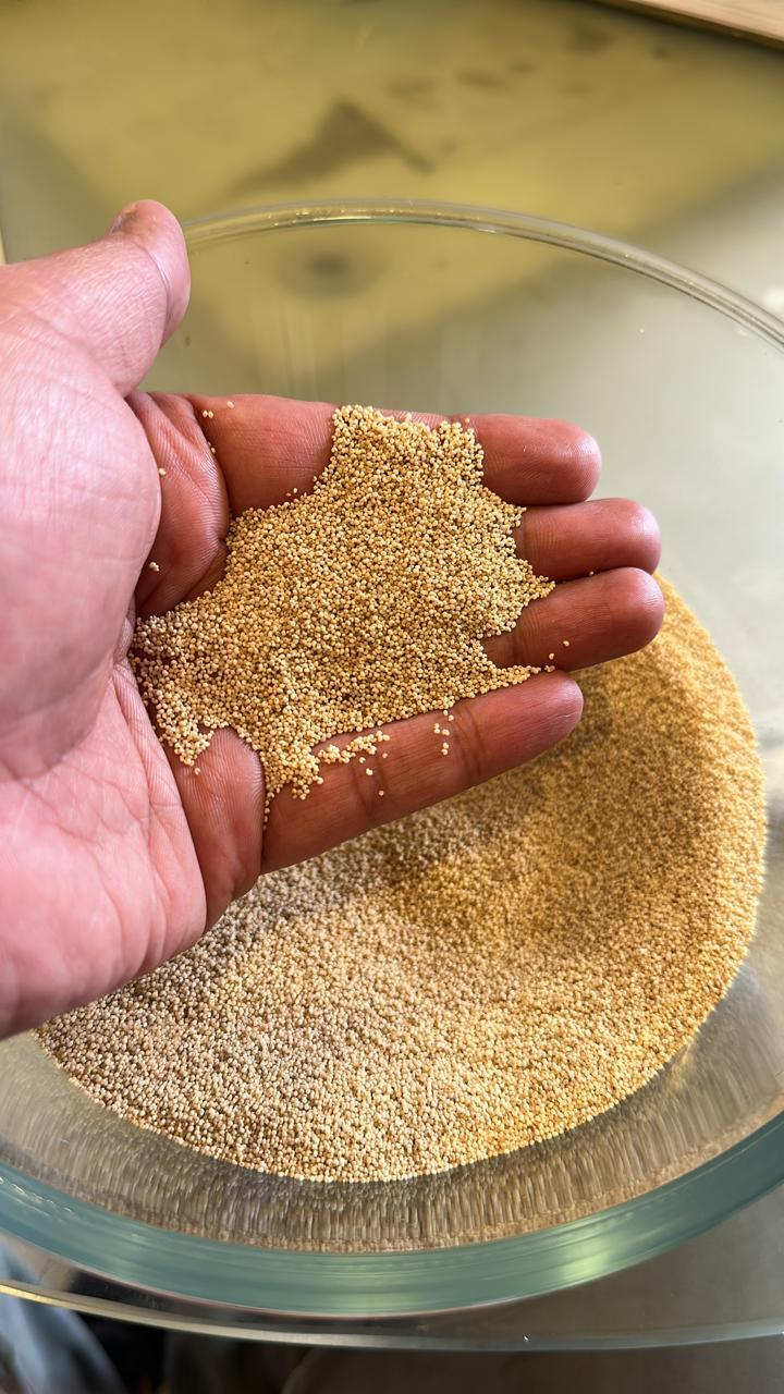 POPPY SEEDS