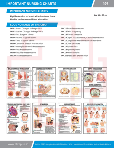 NURSING CHARTS