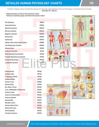 Human Physiology charts