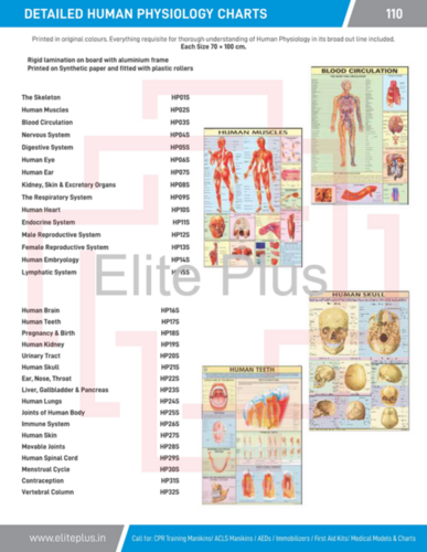 HUMAN PHYSIOLOGY CHARTS