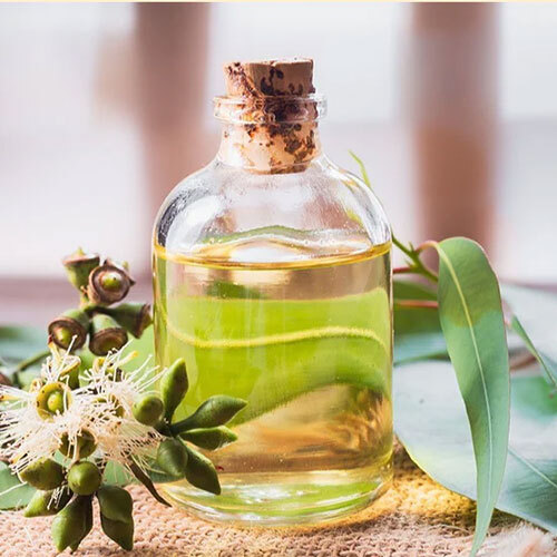Eucalyptus Oil 60%