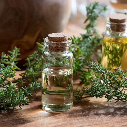 Thyme Oil