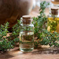 Thyme Oil