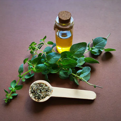 Carvacrol Oil
