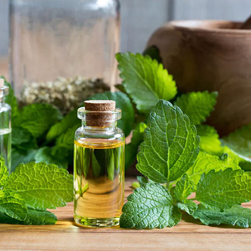 Pippermint Oil