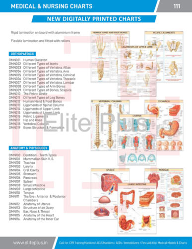 MEDICAL & NURSING CHARTS