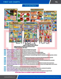 First Aid Charts - Rigid Laminated Pvc 50 X 75 Cm, Multicolor | English & Hindi, Ideal For Nursing And Medical Colleges