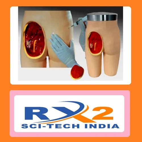 Adult Intramuscular Injection Training Manikin