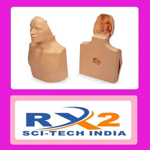 Mb001b+adult Cpr Training Manikin (Torso)