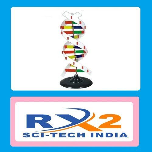 Dna Activity Model