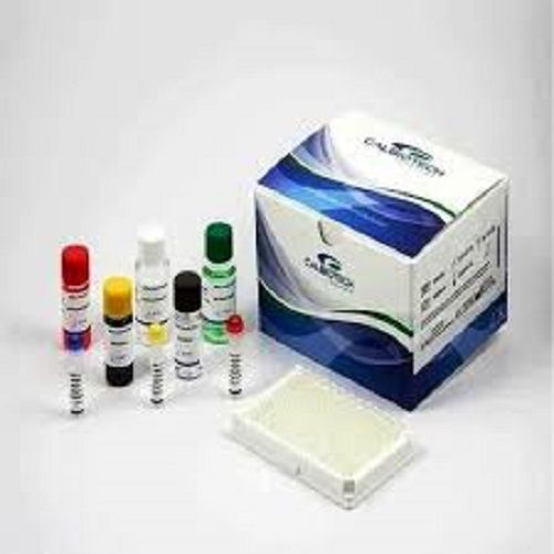 CMV IgG Elisa Test [Cytomegalovirus]