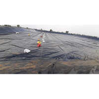 Geo Membranes - Color: Black