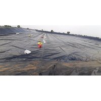 Geo Membranes - Color: Black