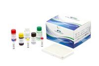 Dengue Virus IgM Elisa Kit.