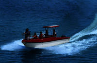 FRP White Indigeneous Safari Boat/ 12 Seater FRP boat/Safari Boat