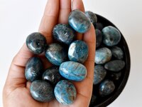 Apatite Tumbled, Healing Crystal Tumbled Stones