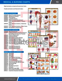 MEDICAL & NURSING CHARTS