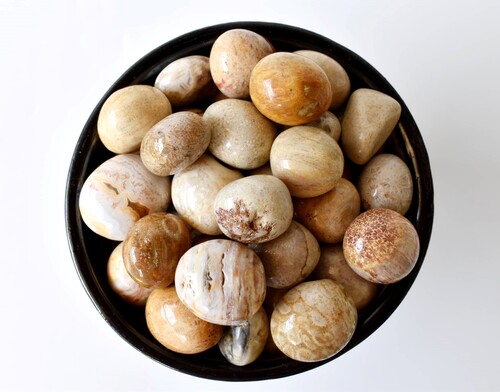 Fossil Coral Tumbled, Healing Crystal Tumbled Stones