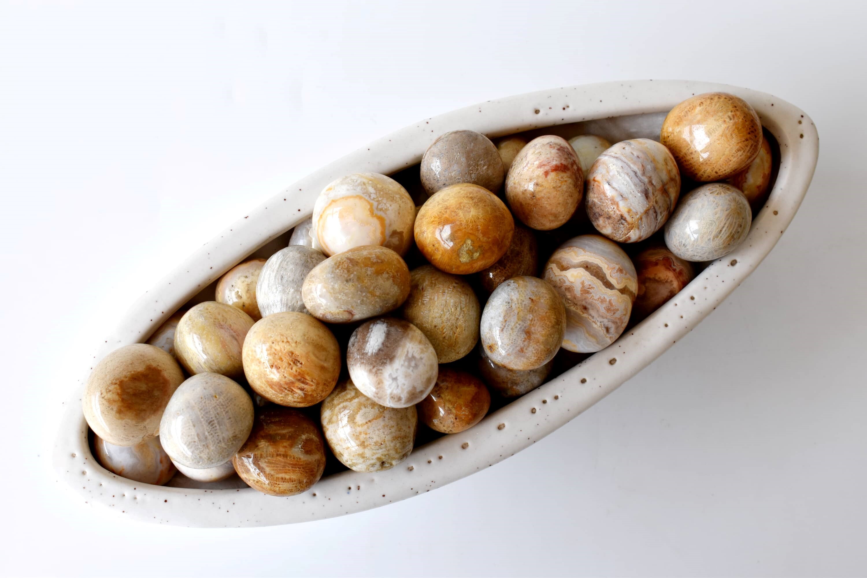 Fossil Coral Tumbled, Healing Crystal Tumbled Stones