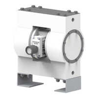 Solid PTFE AODD Pump