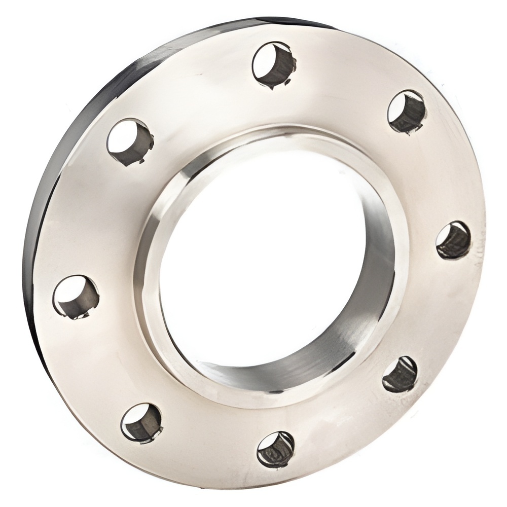 SS 304H Flanges