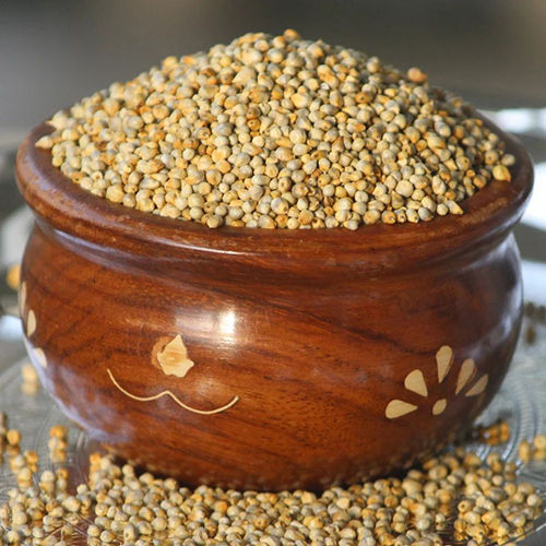 Golden Pearl Millet Bajra