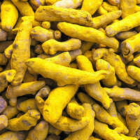 Turmeric Finger