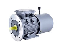 AC IND Brake Motor