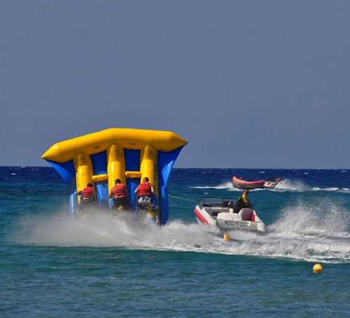 6 seater flying fish bumper