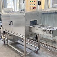 Fscl-c50 Continuous Fish Scaling Machine Fish Scale Removing Machine