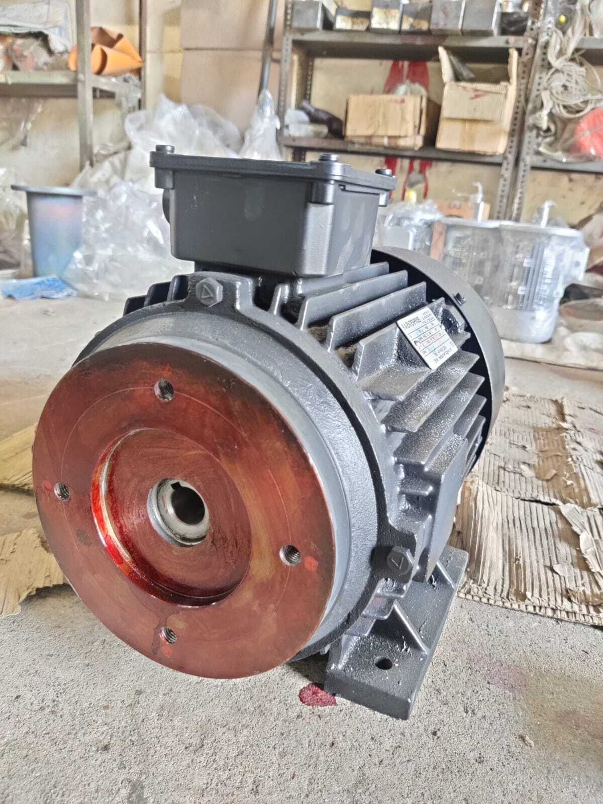 Hollow Shaft Motors