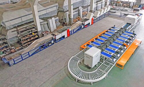 Automatic fruit lime orange apple washing waxing drying sorting production line