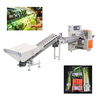 Full Automatic Pillow Servo Fruit Sorting Loading Bag Packaging Machine - BOPP/CPP Film, Max Film Width 350mm, 40-180 Bags/Min | Compact Design 4020x720x1320mm, 650kg Weight