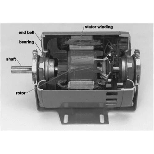 Single Phase Induction Motor