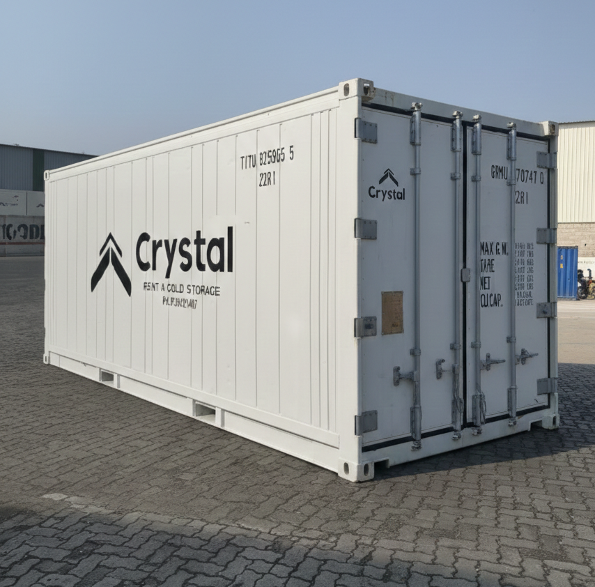 Reefer Container For Fruits Storage - Color: White