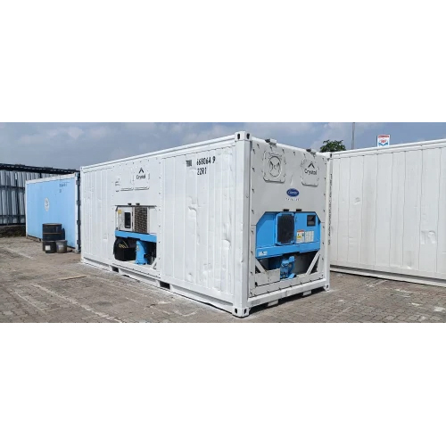 Refurbished Reefer Container for Chicken & Meat Storage | -18 Degree C Refrigerated Container