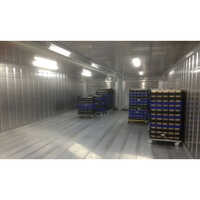 1000 Sqft Portable Cold Container - Insulated Panels, Single Layer, Electric Power, Adjustable Temperature, 220v | Climate Type: Cold, Refrigerant: R134a