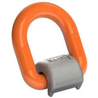 Different Available Weld On D Ring