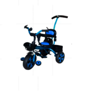 Single Bend Kids Tricycle - Gross Weight: 30 Kg