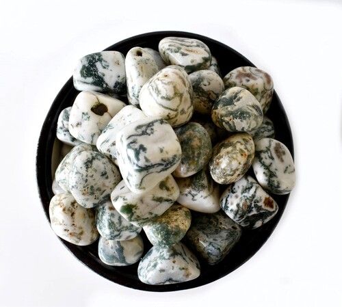 Tree Agate  Tumbled, Healing Crystal Tumbled Stones