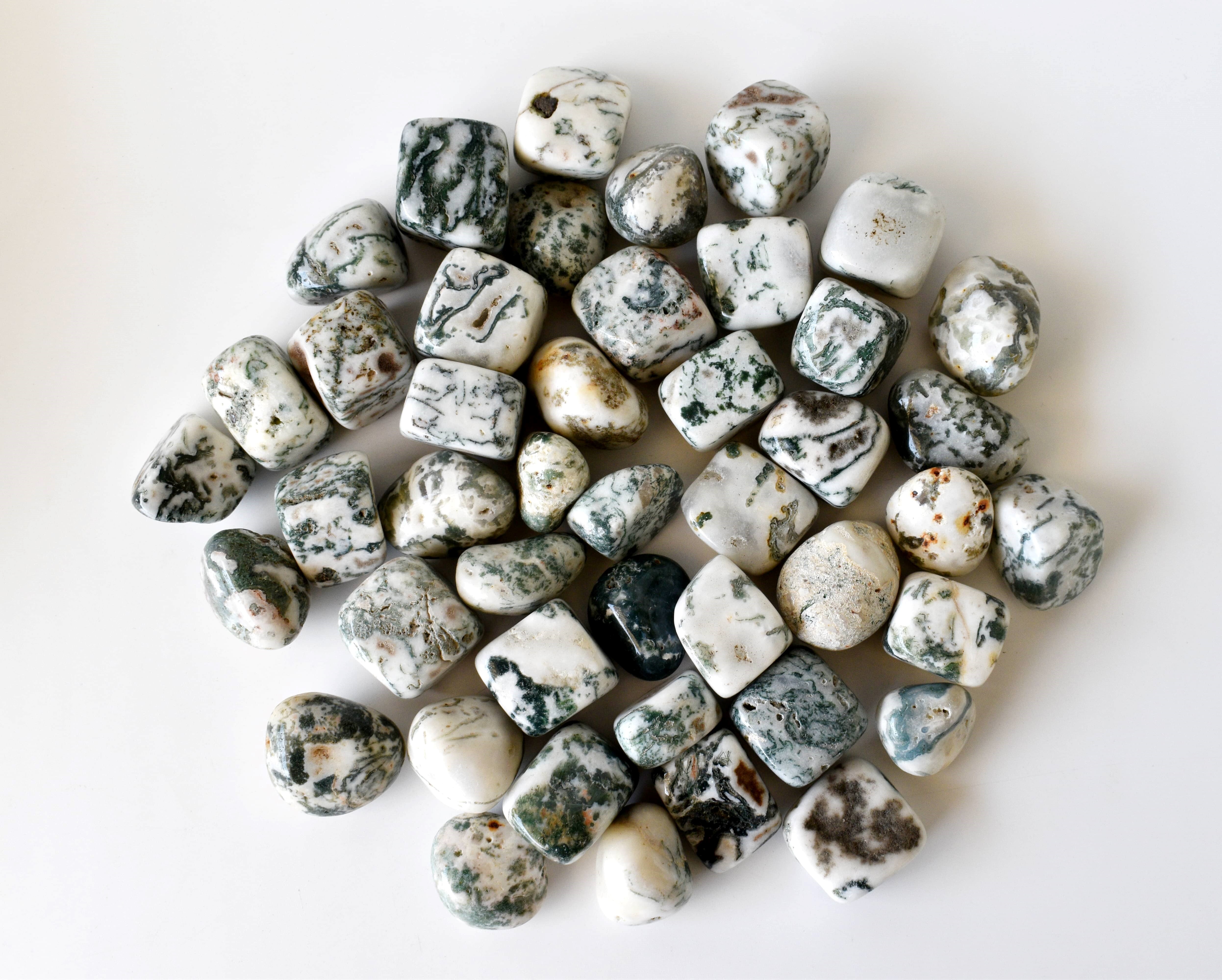 Tree Agate  Tumbled, Healing Crystal Tumbled Stones